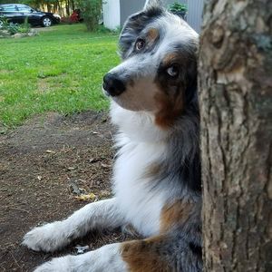 Meet your Posher, Kara